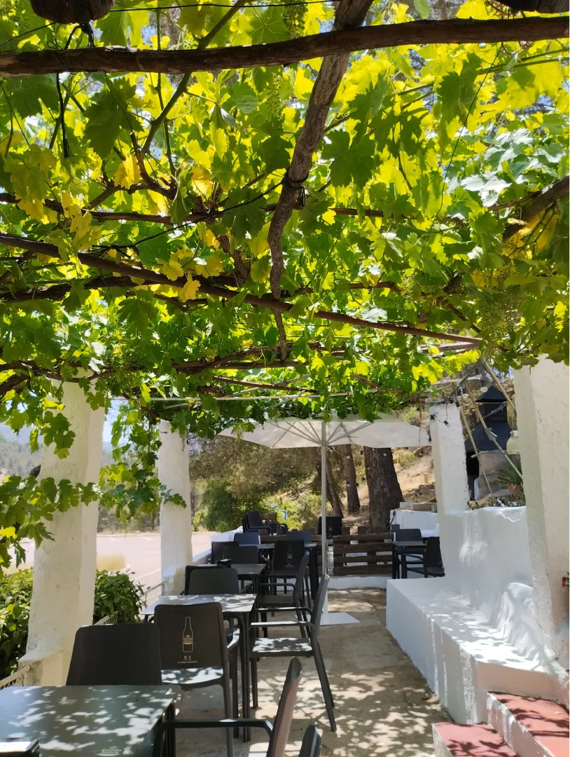 bar pizzeria camping contreras rio cabriel (20)